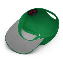 Load image into Gallery viewer, &quot;Joyzistance&quot; Snapback Hat (Kelly Green)
